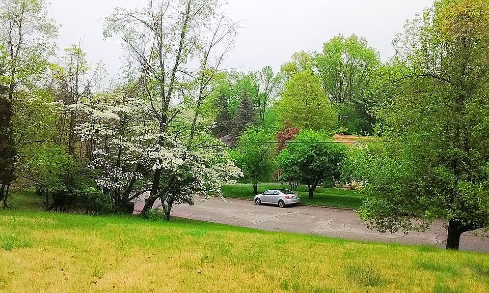 View from Bay Window