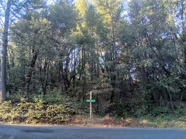 4 Big Dipper Rd, Colfax, CA 95713