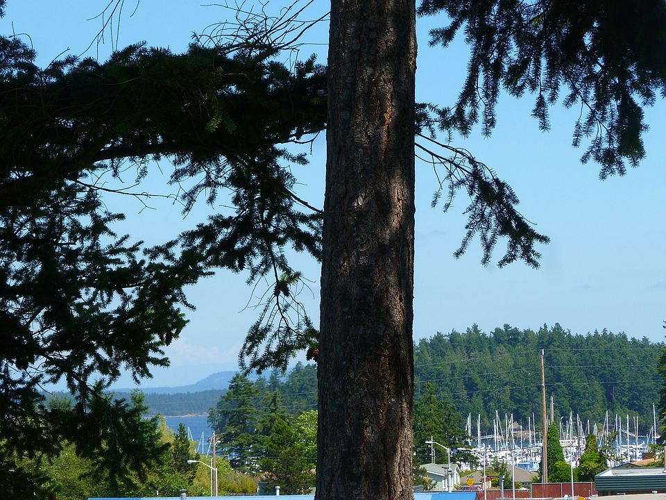View of FH marina and bay
