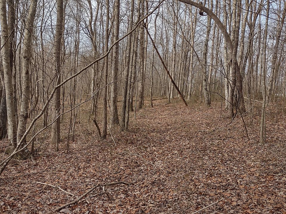 2nd image of 0 Snake Pond Rd Tract 1