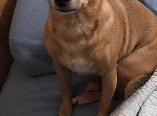 2225-2227 6th St, Springfield, OR 97477