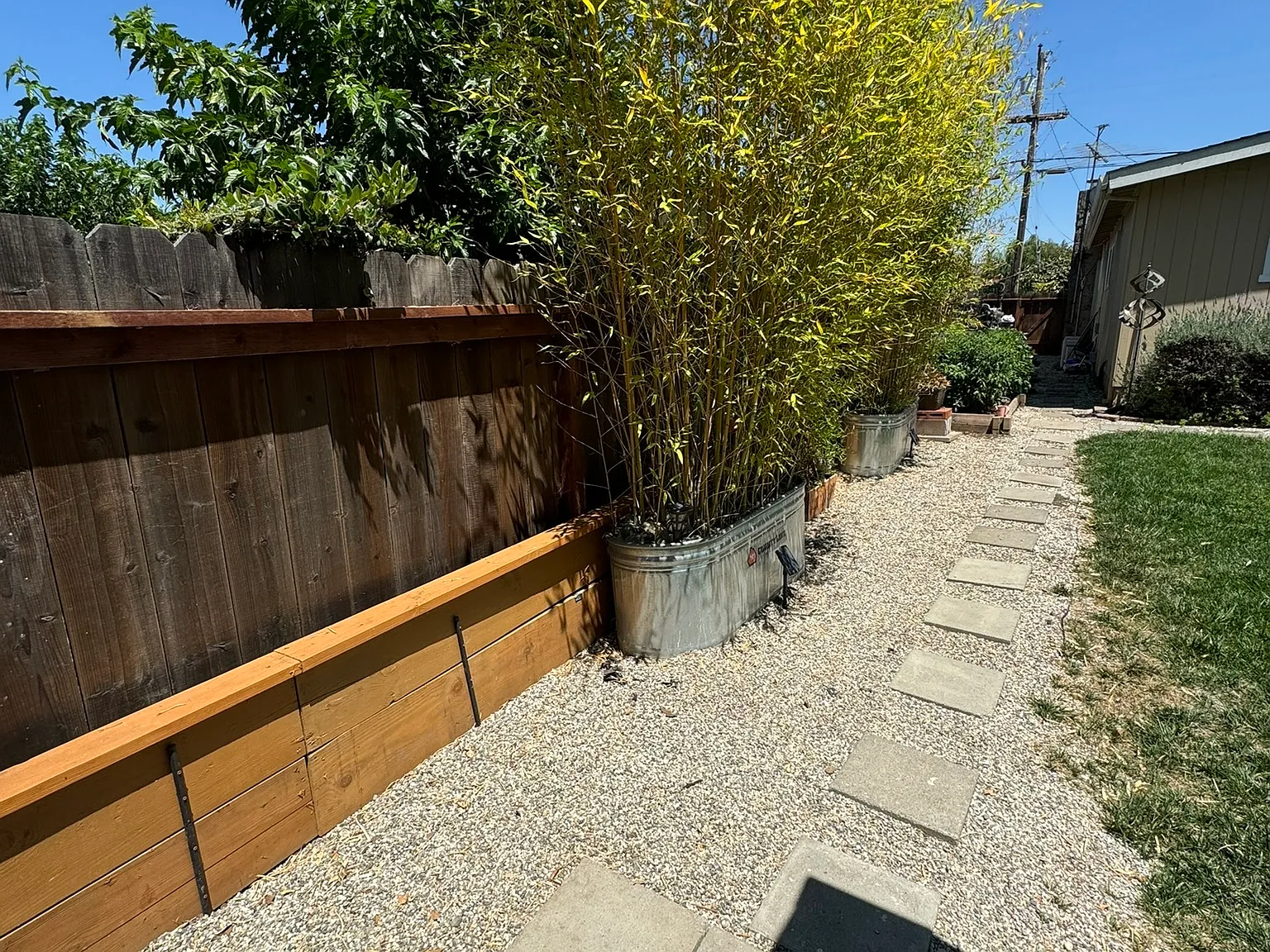 1 bed, $1,900 — Photo 3