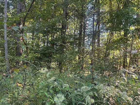 3rd image of LOT 3 Roberts Ridge Rd