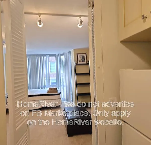 21 W Goethe St #4E — Photo 10
