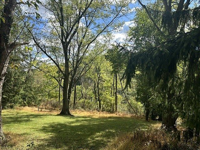 2nd image of 316 Idlewood Rd