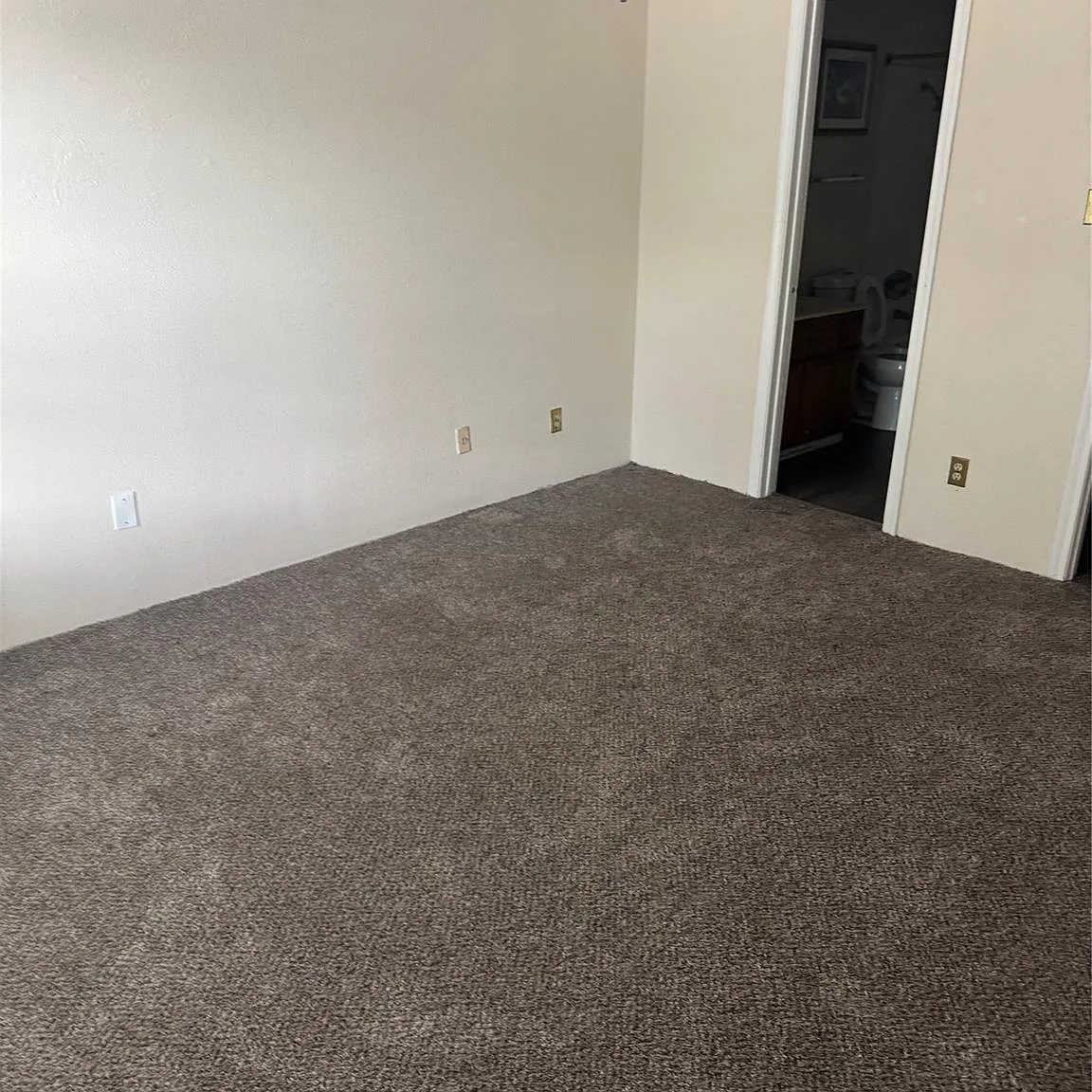2 bed, 2.0 bath, 1014 sqft, $1,375 — Photo 4
