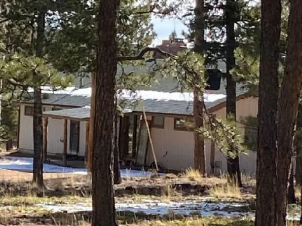 98 Two Bits St, Bailey, CO 80421