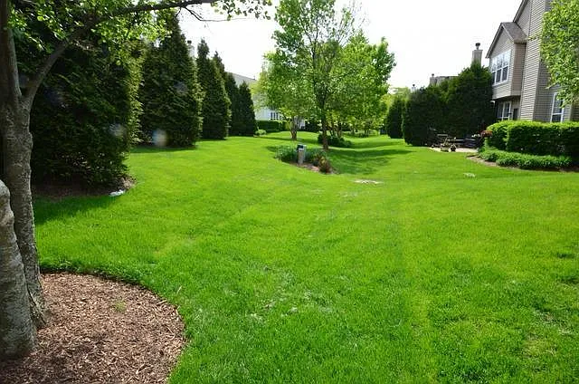 Exterior: Backyard