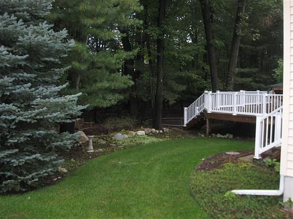Beautiful wooded backyard