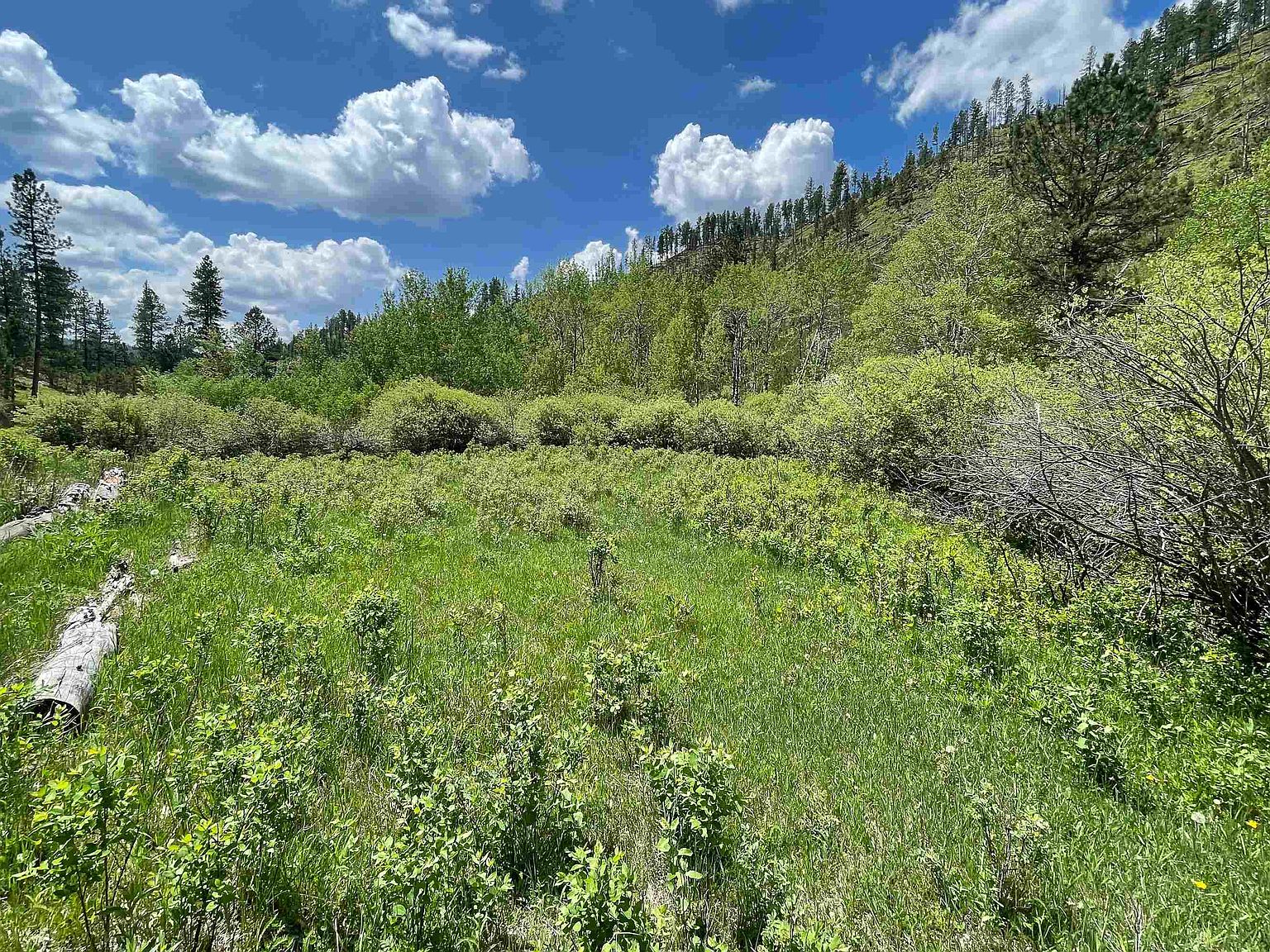 Silver Creek Rd, Hill City, SD 57745 MLS 75150 Zillow