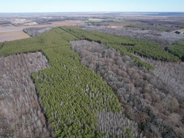 0 S Highway 65, Eudora, AR 71640