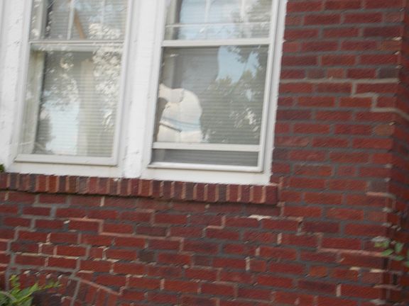 5th image of 3470 Pine Grove Ave