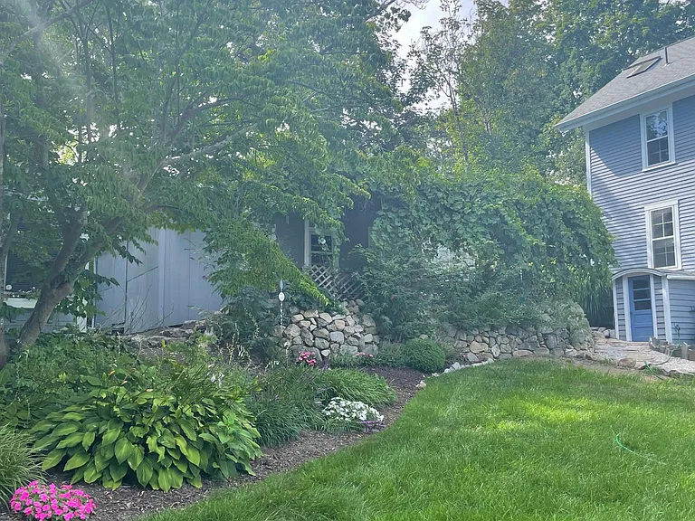 Perennial garden with grapevine patio.