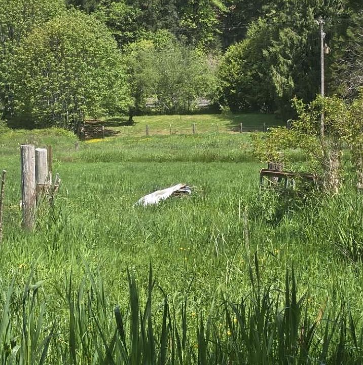 1st image of 10195 Sweet Creek Rd