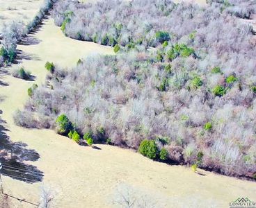 Patton Settlement Rd, Diana, TX, 75640