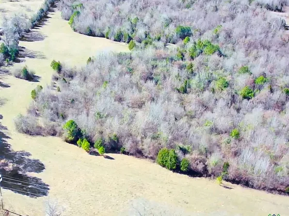 Patton Settlement Rd, Diana, TX 75640