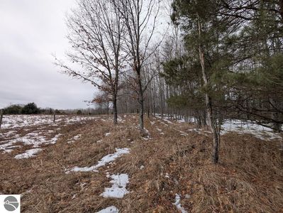 2370 S Coville Rd, Mikado, MI, 48745