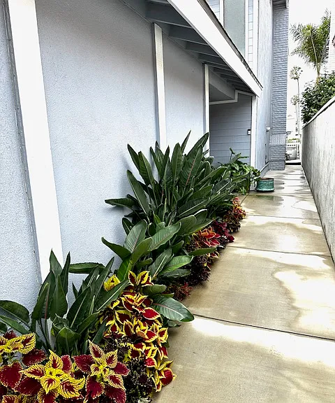 2919 Seahorse Ave — Photo 7