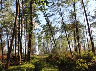 Clear Lake Rd, Elcho, WI 54428