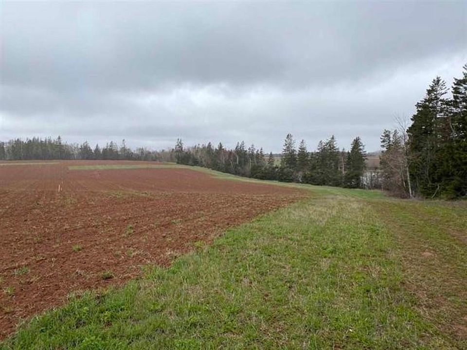 1st image of LOT 21 Two Kildare