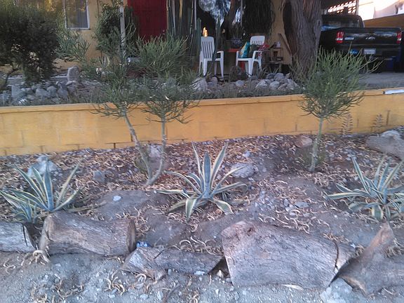 4th image of 66722 Estrella Ave