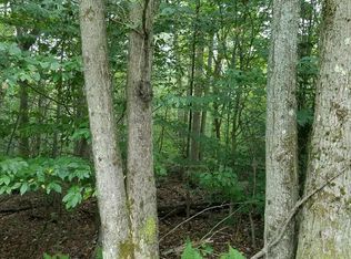 854 Pine Grove Rd, Pt Allegany, PA 16743