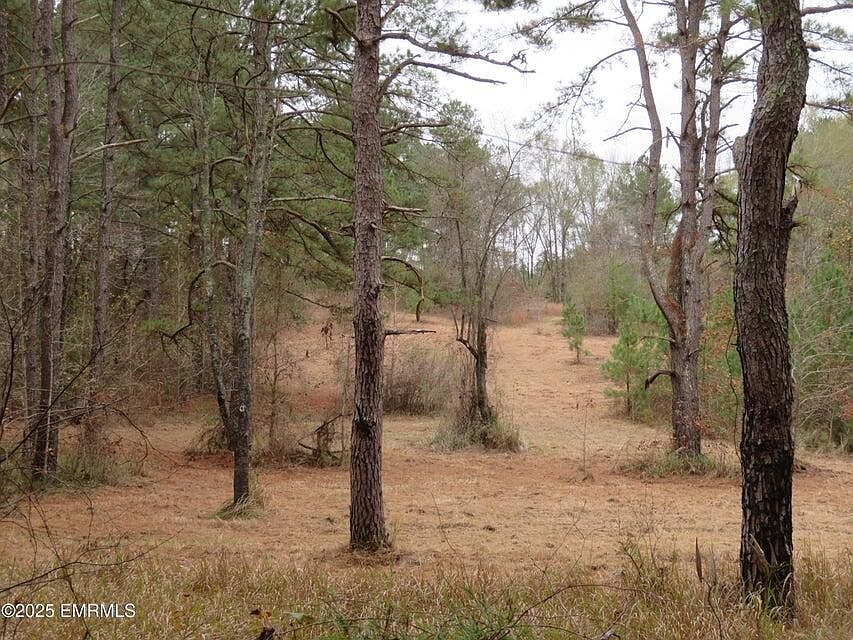 1st image of 301 County Road 31