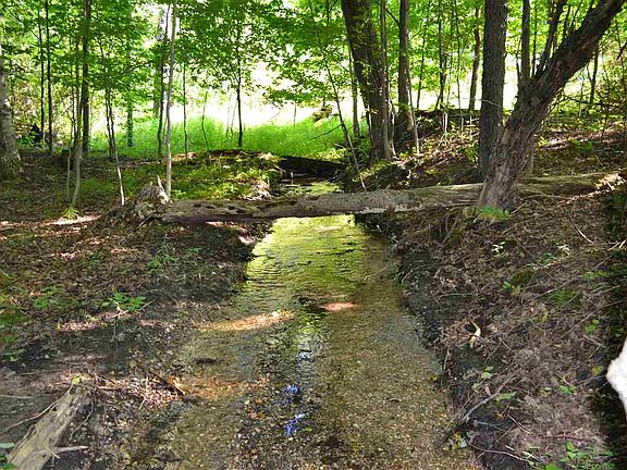 2nd image of 3281 Rogers And Bergmann Rd