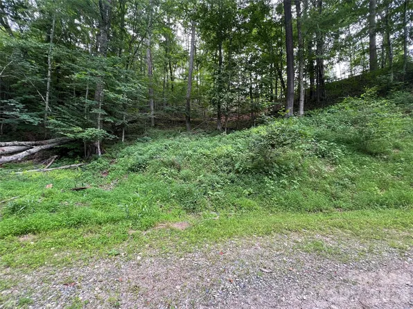 0 Chestnut Ln Lot 84, Mars Hill, NC 28754