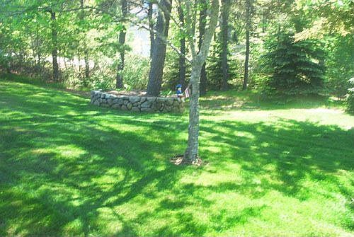 Front Yard wtih Boy Blue 