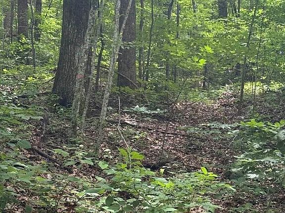 2nd image of 0 Summit Rd #343