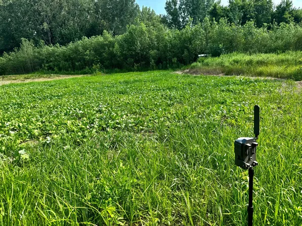 Grove St, Le Sueur, MN 56058