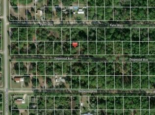 314 Dogwood Ave, Georgetown, FL 32139