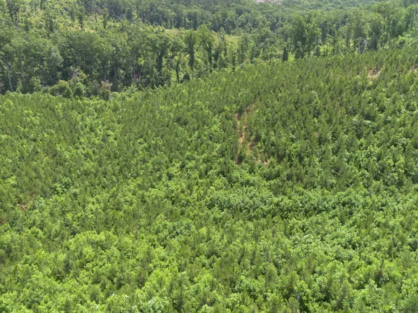 0 Low Gap Rd, Sugar Tree, TN 38380