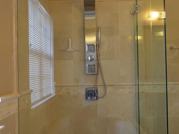 Frameless Shower door