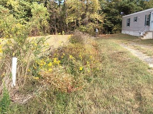 2nd image of 368 Mountain Ash Dr
