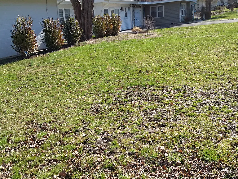 14 Homestead Ln #14 — Photo 1
