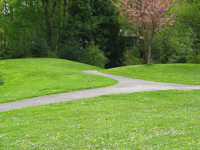 The neighboring Licton Springs park!