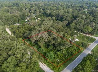 300 SW 134th Ct, Ocala, FL 34481