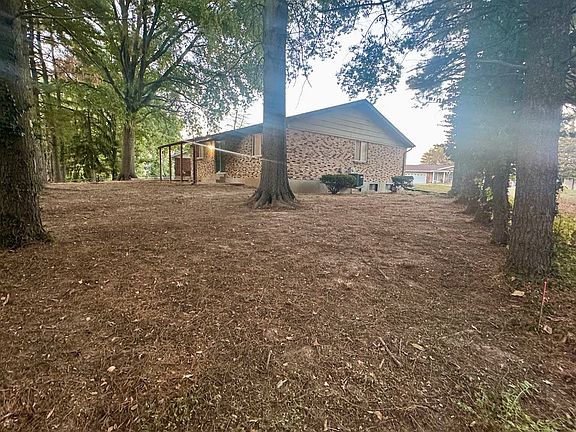 Back yard... property line