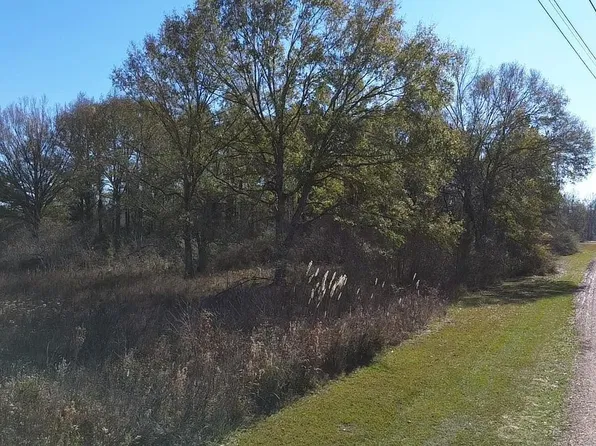 LOT Three Perrilloux Rd #B, Livingston, LA 70754