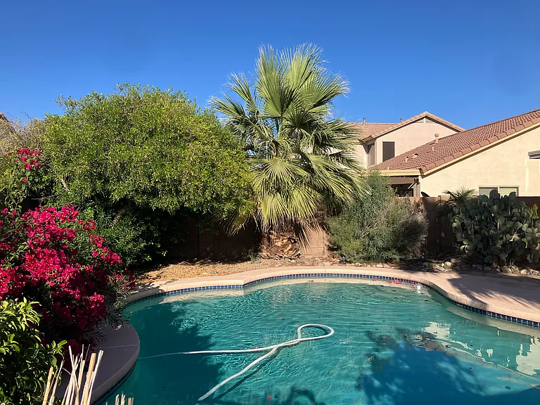 44810 W Horse Mesa Rd — Photo 21