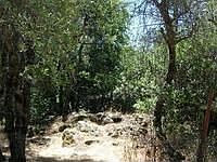 1st image of 16415 Provenza Ct