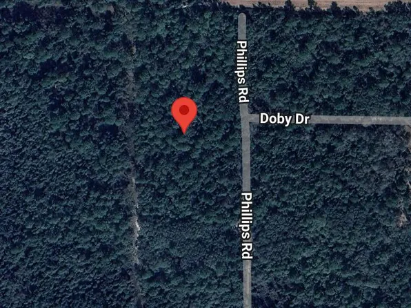 145 PHILLIPS Road, Florahome, FL 32140