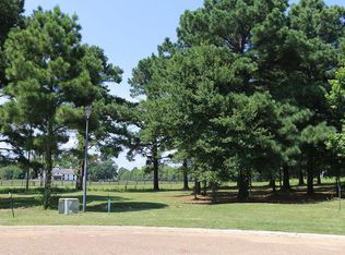 102 Harbor View Dr, Madison, MS 39110