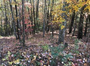 Gate Hollow Private Rd, Mountain City, TN 37683