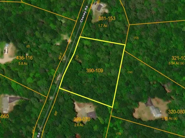 Lot 390-109 Cheney Road, Newbury, NH 03255
