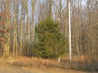 0 Inman Rd, South Boardman, MI 49680