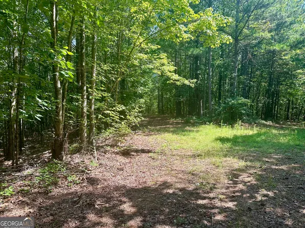 40 Patriot View Dr, Dahlonega, GA 30533