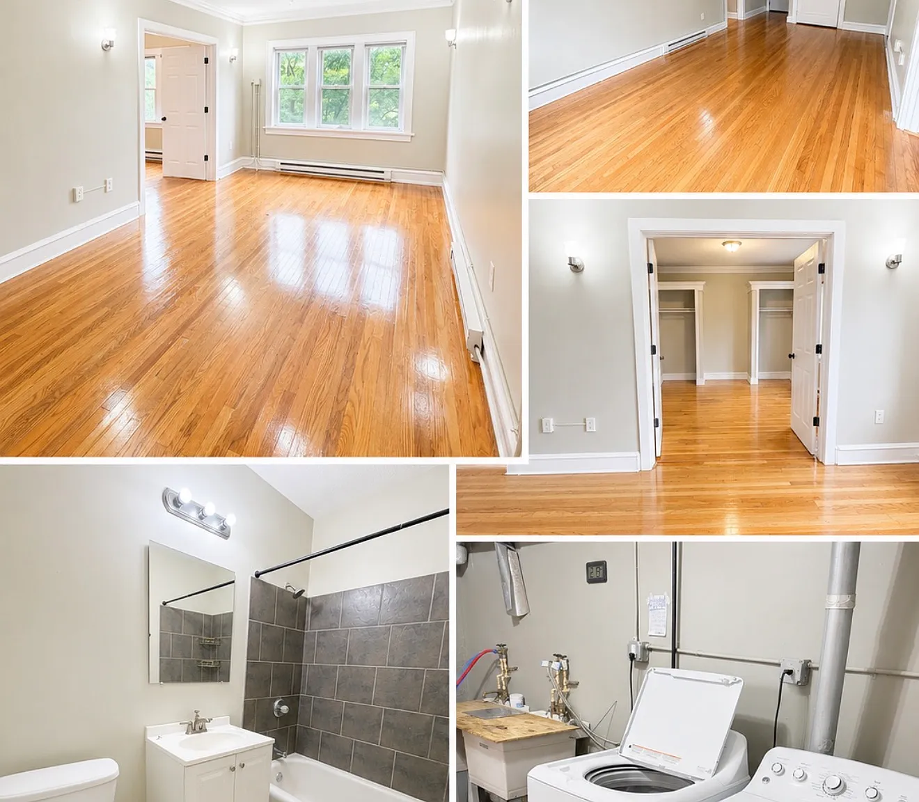 1 bed, 750 sqft, $1,095 — Photo 1